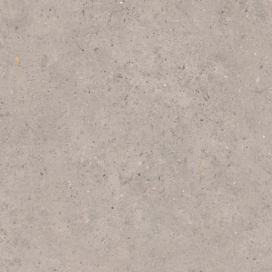 Dlažba Pastorelli Biophilic grey 60x60 cm mat P009459 (bal.0,720 m2)