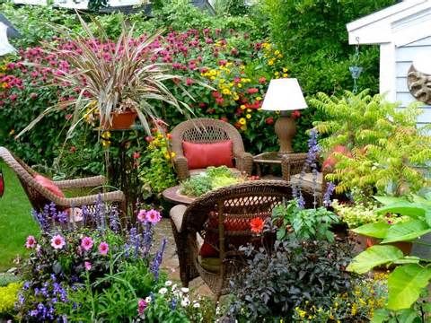 Sezení obklopené rostlinami - 