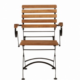 Butlers.cz: PARKLIFE Skládací židle s područkami - hnědá/černá
