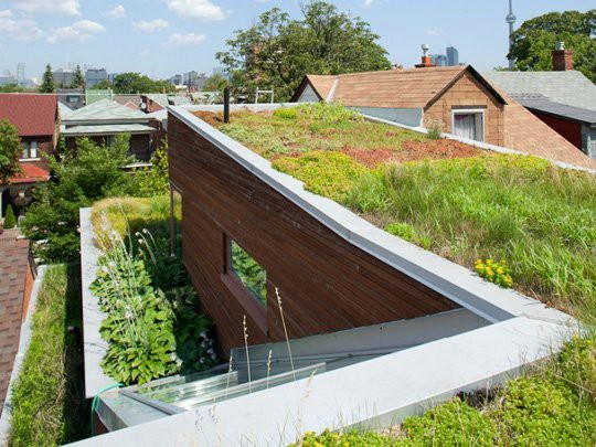 zelená střecha - 