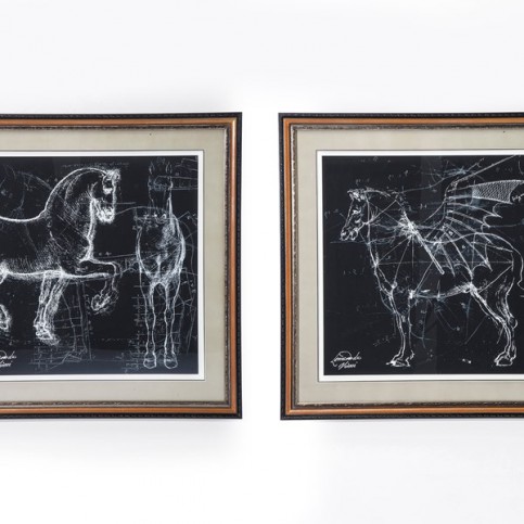 Obraz s rámem Horse Studies 110x110cm Assorted - KARE