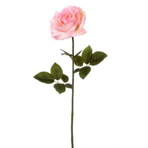 FLORISTA Růže 64 cm - sv. růžová - Butlers.cz