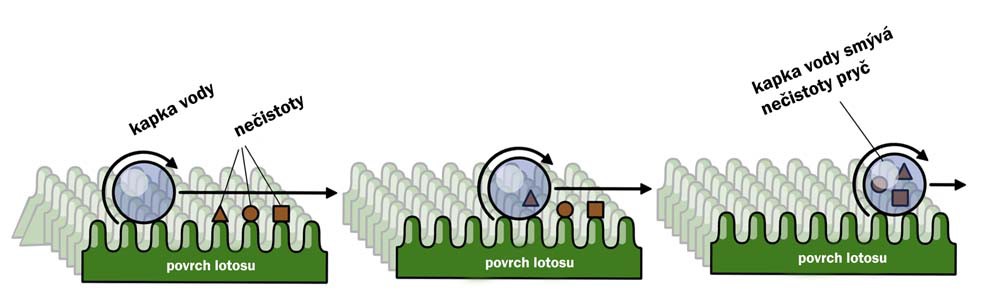Efekt lotosového květu - NanoConcept