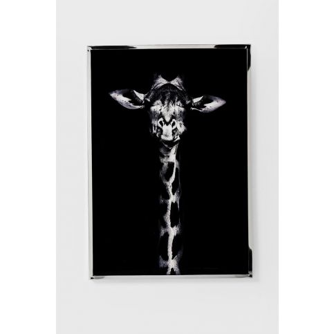 Nástěnná dekorace Giraffe 73x102cm - KARE