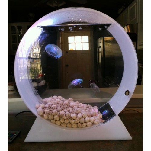 Desktop-Jellyfish-Tank-akvarium-pro-meduzy-jellyfish-art-500x500.jpg - Designjellyfish
