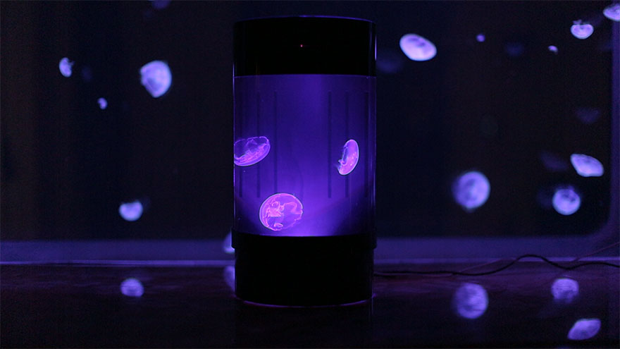 pet-jellyfish-art-led-aquarium-7.jpg - Designjellyfish