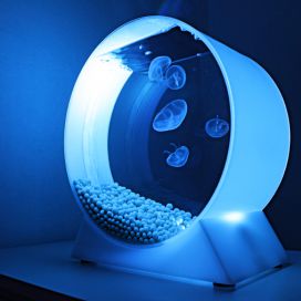 Jellyfish-Art-Quallen-Aquarium-B.jpg