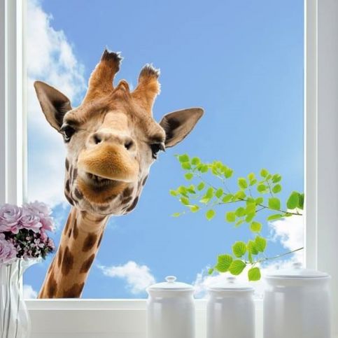 \n				Crearreda 68202 Samolepící dekorace na okno Giraffe 47x67cm \n		 - F&D - Fototapety a dekorace