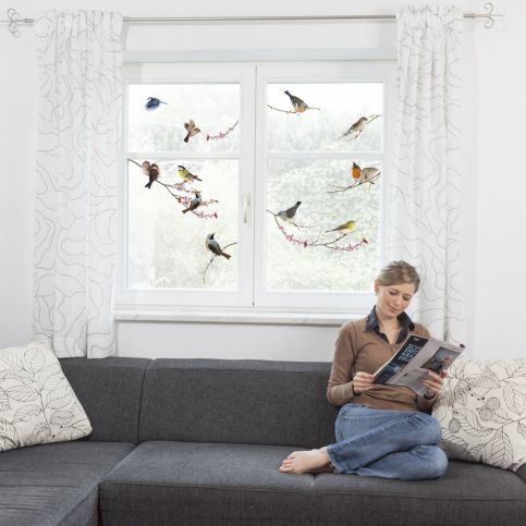 \n				Komar 16003 Samolepící dekorace na okno Birds 31x31cm \n		 - F&D - Fototapety a dekorace