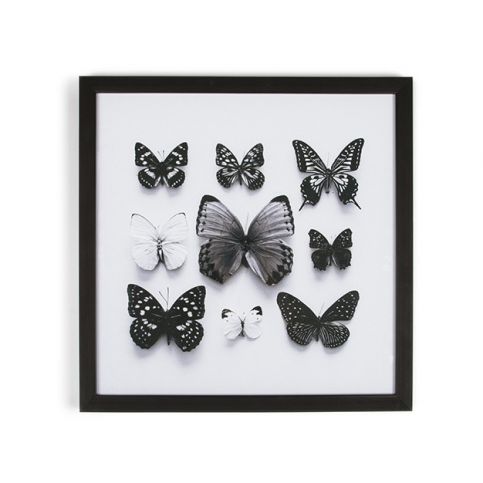 Obraz v rámu Graham & Brown Butterfly Studies, 50 x 50 cm - Bonami.cz