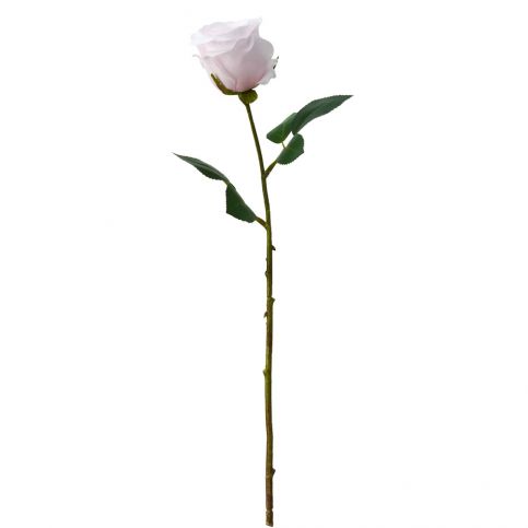 FLORISTA Růže 55 cm - růžová - Butlers.cz