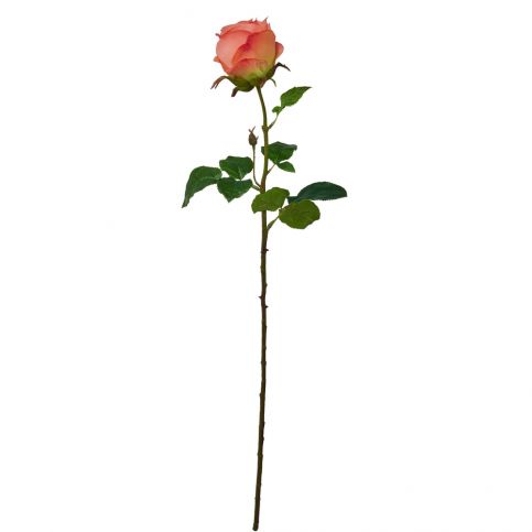 FLORISTA Růže 68 cm - růžová - Butlers.cz