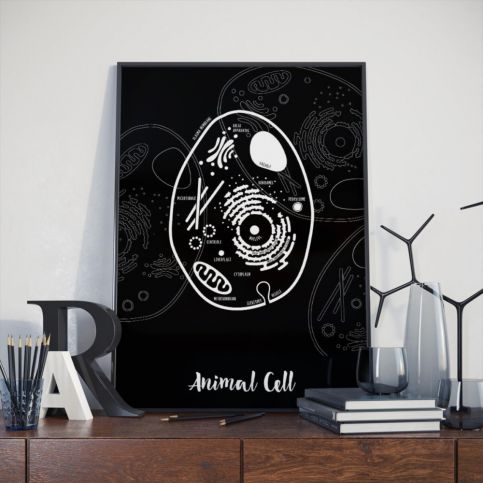 Černý plakát Follygraph Animal Cell, 30 x 40 cm - Bonami.cz