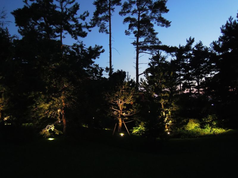 Podsvícení stromů v zahradě - LED-ZAHRADA.cz