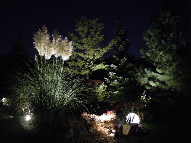 Dekorativní osvětlení rostlin v zahradě - LED-ZAHRADA.cz