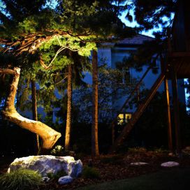 Podsvícení atypického stromu v zahradě