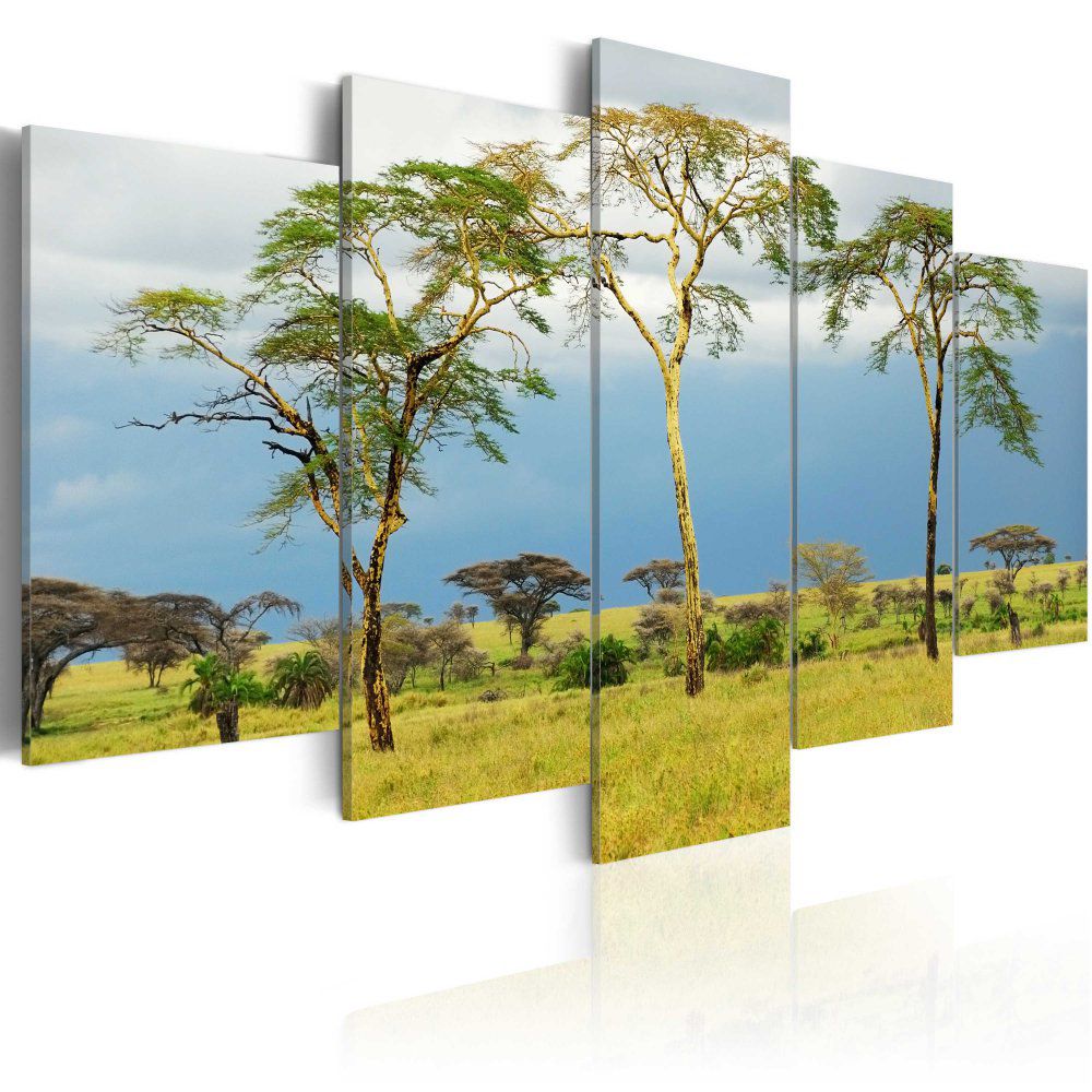 Obraz na plátně Bimago - Africká příroda 100x50 cm - GLIX DECO s.r.o.