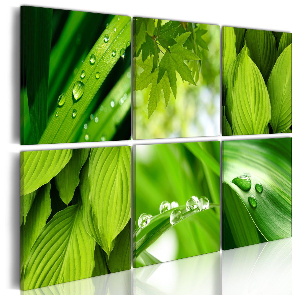 Obraz na plátně Bimago - Čerstvé zelené listy 60x40 cm - GLIX DECO s.r.o.