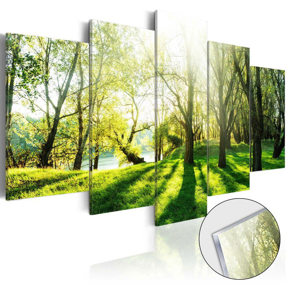 Obraz na skle Bimago - Green Glade 100x50 cm - GLIX DECO s.r.o.