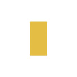 Dlažba Rako Color Two tmavě žlutá 10x20 cm mat GAAD8142.1 (bal.0,700 m2)