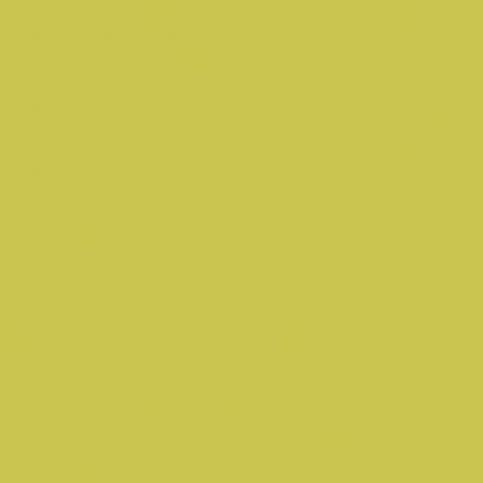 Dlažba Rako Color Two žlutozelená 20x20 cm, mat GAA1K464.1 - Siko - koupelny - kuchyně