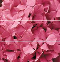 Dekor Fineza Velvet růžová Flowers 75x73 cm lesk DFLOWERS3 - Siko - koupelny - kuchyně