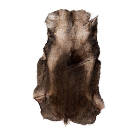 Tmavě hnědá sobí kožešina Arctic Fur Reino, 120 x 100 cm - Bonami.cz