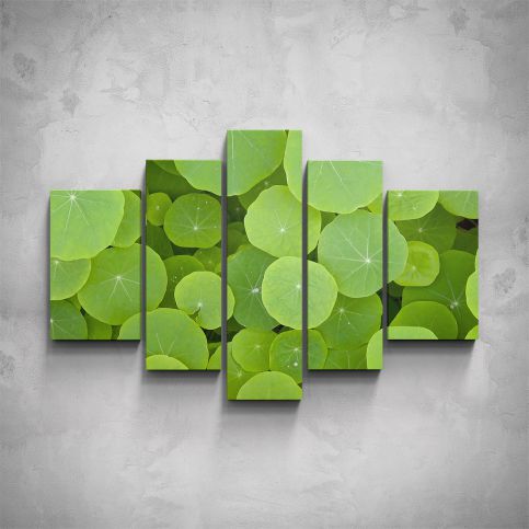 5-dílný obraz - Zelené listy - PopyDesign - Popydesign