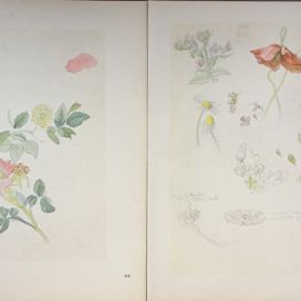 Josef Mánes - Herbarium - 26.JPG Designová dílna Kovaný Petr
