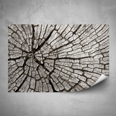 Plakát - Popraskané dřevo (60x40 cm) - PopyDesign - Popydesign