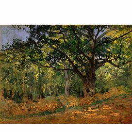 Reprodukce obrazu Claude Monet - The Bodmer Oak, Fontainebleau Forest, 70 x 50 cm Bonami.cz