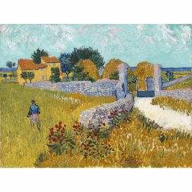 Reprodukce obrazu Vincenta van Gogha - Farmhouse in Provence, 40 x 30 cm Bonami.cz