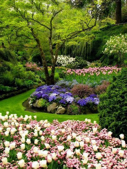Zahrada v plném květu - 