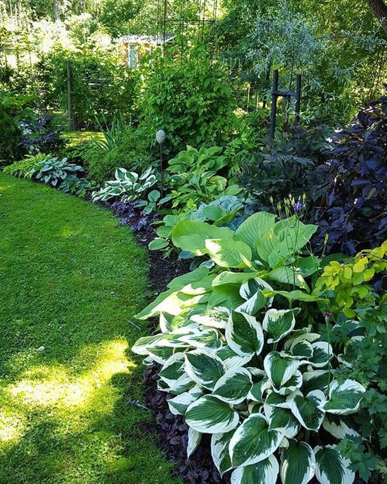 Zelený zahradní záhon - 