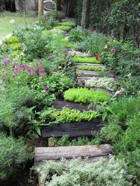 Porostlé dřevěné schodiště na zahradě - 