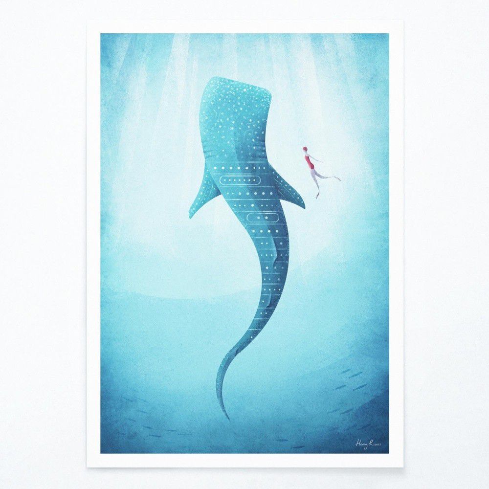 Plakát Travelposter Whale Shark, 50 x 70 cm - Bonami.cz