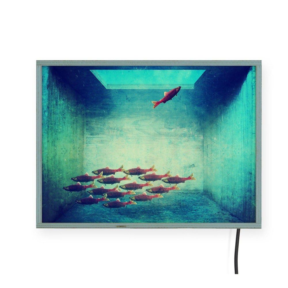 Světelná nástěnná dekorace Surdic Free Fish, 40 x 30 cm - Bonami.cz