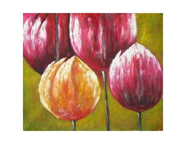 Obraz - Čtyři tulipány - FORLIVING