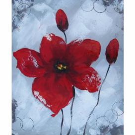 Obrazy - Rudá květina FORLIVING