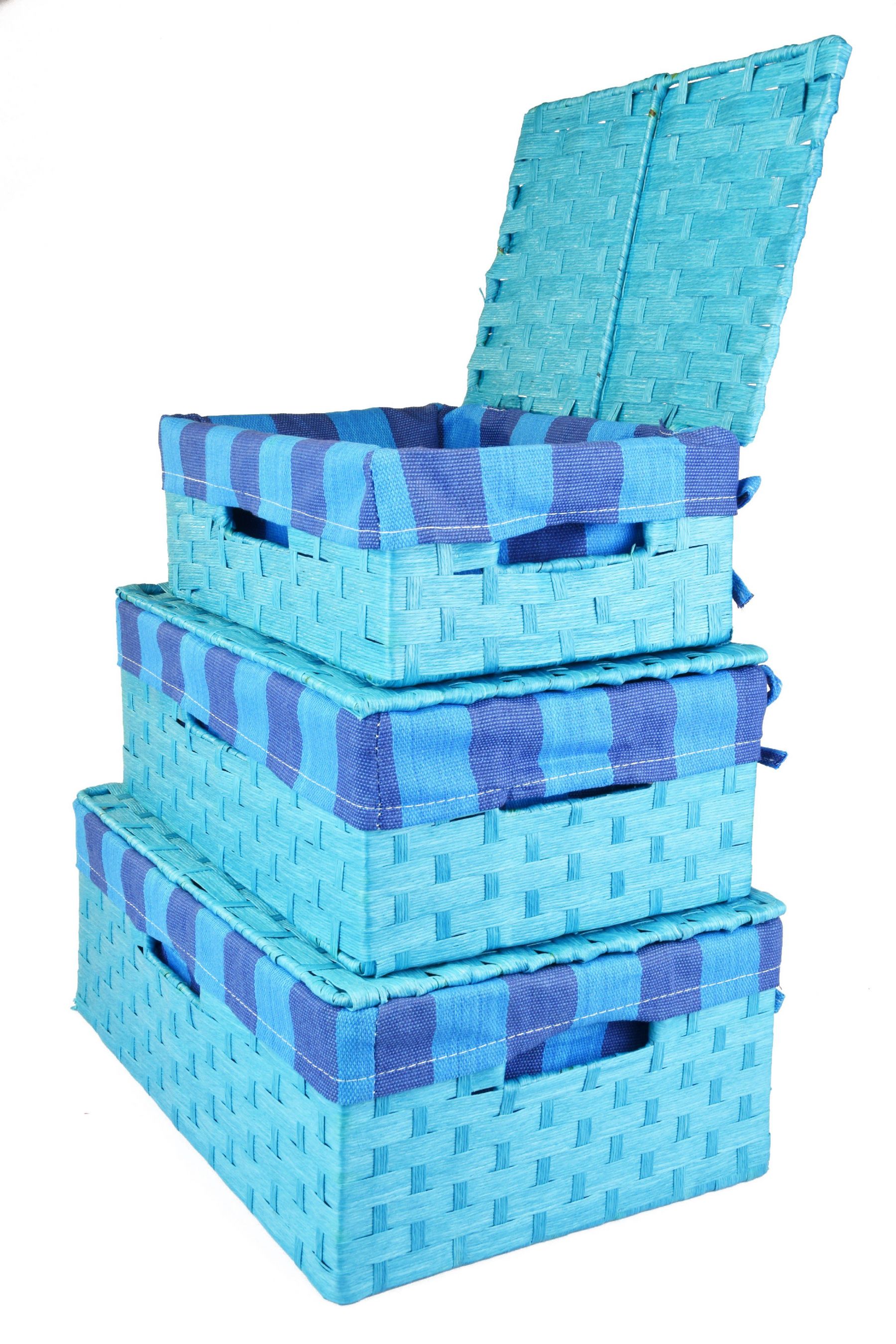 Vingo Úložný box s víkem světle modrý Rozměry (cm): 48x30, v. 17 - Vingo