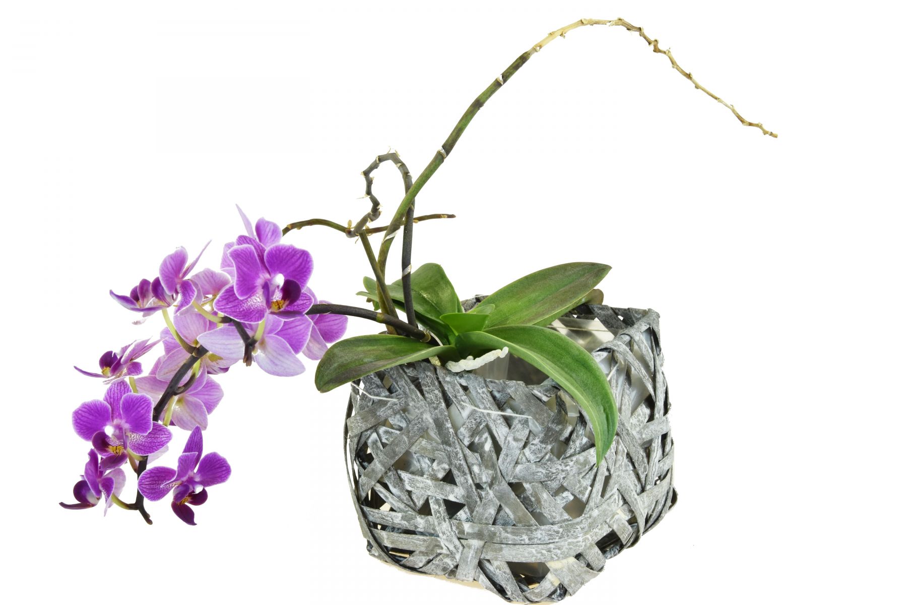 Vingo Hranatý květináč z dýhy šedý s igelitovou vložkou Rozměry (cm): 16x16, v. 13 - Vingo