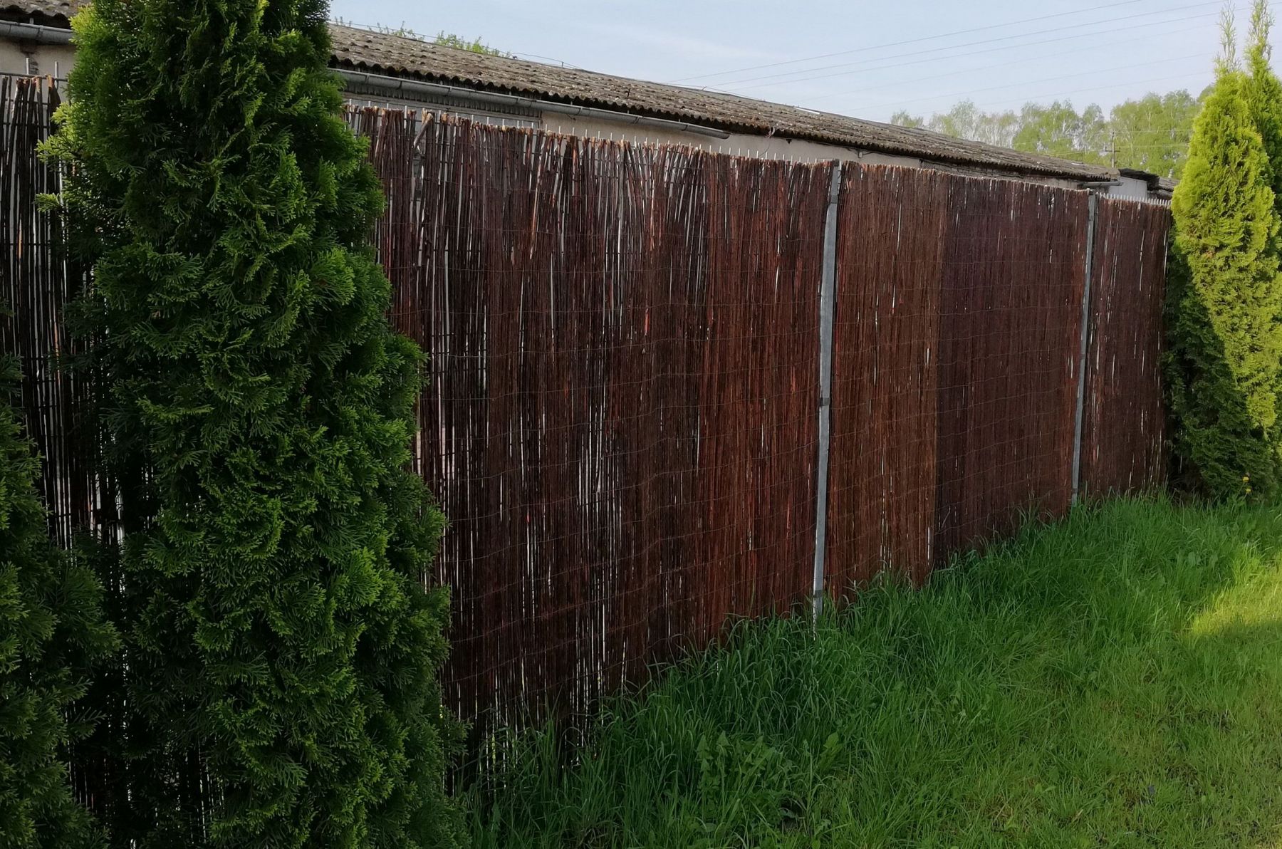 Vingo Proutěná zástěna na plot Výška plotu: 160 cm, Délka plotu: 300 cm - Vingo