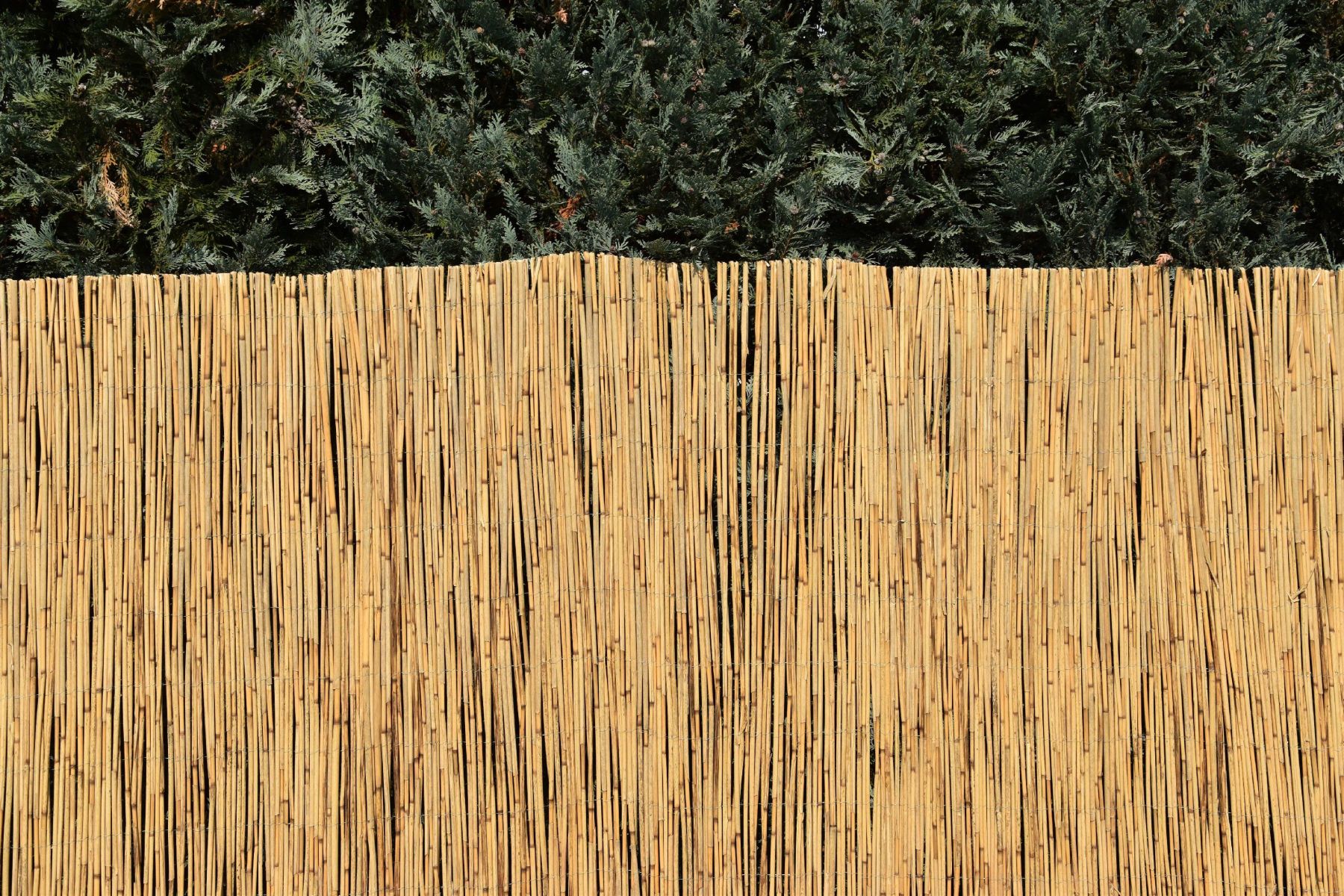 Vingo Rákosová zástěna na plot Výška plotu: 140 cm, Délka plotu: 600 cm - Vingo
