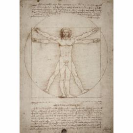 Leonardo da Vinci FORLIVING