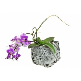 Vingo Hranatý květináč z dýhy šedý s igelitovou vložkou Rozměry (cm): sada
