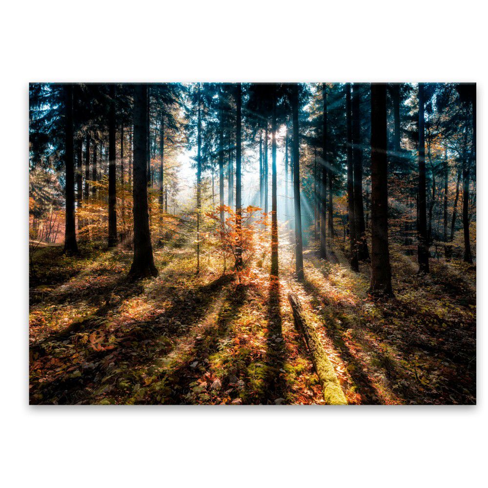 Obraz Styler Glasspik Autumn Sunset, 70 x 100 cm - Bonami.cz