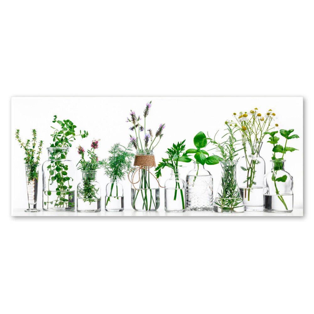 Obraz Styler Glasspik Herbs, 30 x 80 cm - Bonami.cz