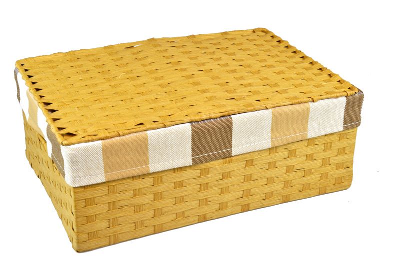 Vingo Úložný box s víkem pískový Rozměry (cm): 40x27, v. 15 - Vingo