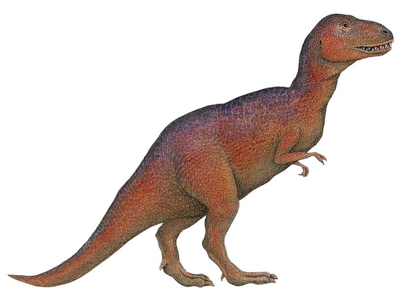 Samolepky dinosauři - Samolepící dekorace Tyrannosaurus Rex (T-Rex) - Dětské dekorace Lunami