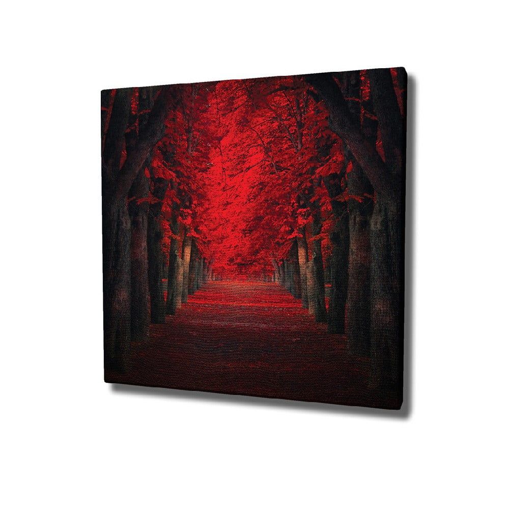 Nástěnný obraz na plátně Red Trees, 45 x 45 cm - Bonami.cz